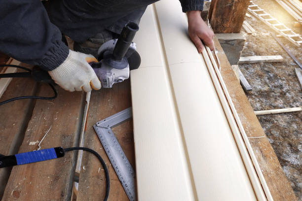 Best Custom Trim and Detailing for Siding  in Burt, MI