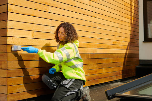 Best Insulated Siding Installation  in Burt, MI